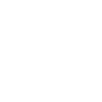 Lone Star.png